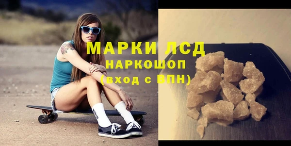 молекула духа Арсеньев