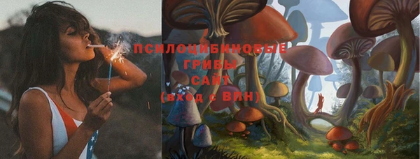 молекула духа Арсеньев