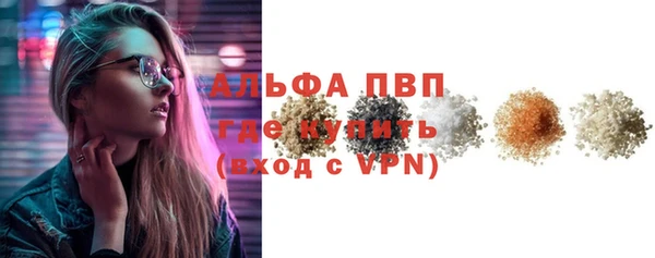 молекула духа Арсеньев