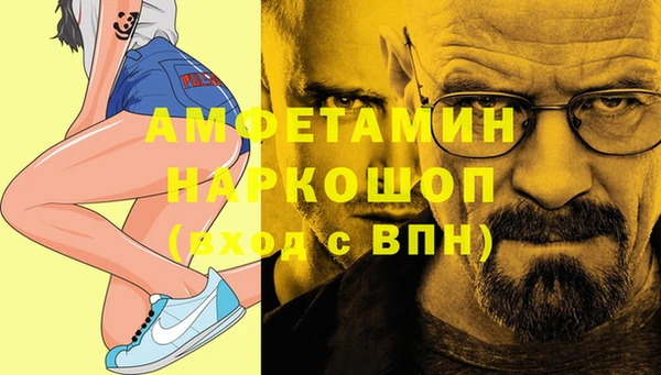 молекула духа Арсеньев
