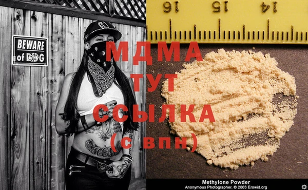 молекула духа Арсеньев