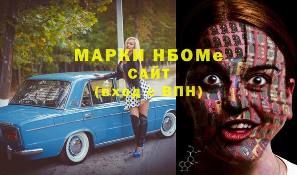 молекула духа Арсеньев
