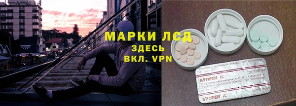 молекула духа Арсеньев