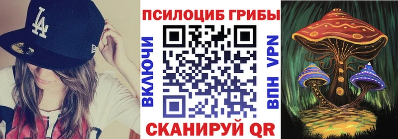 купить закладку  Спасск  Галлюциногенные грибы GOLDEN TEACHER 