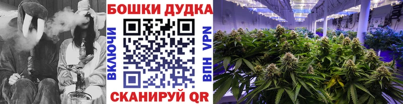 где продают   Спасск  MEGA   МАРИХУАНА сатива 